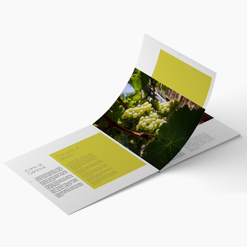 Bianchetta Genovese Agenzia di comunicazione web